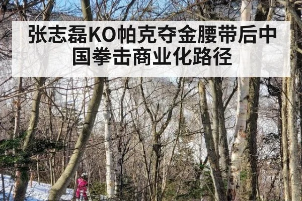 张志磊KO帕克夺金腰带后中国拳击商业化路径