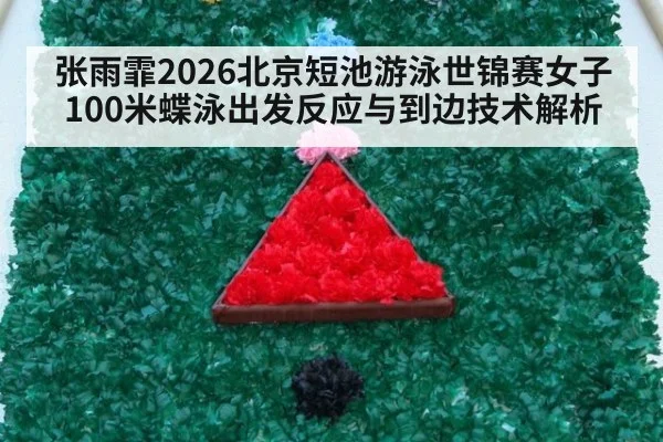 张雨霏2026北京短池游泳世锦赛女子100米蝶泳出发反应与到边技术解析